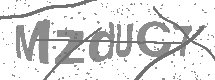 visual captcha